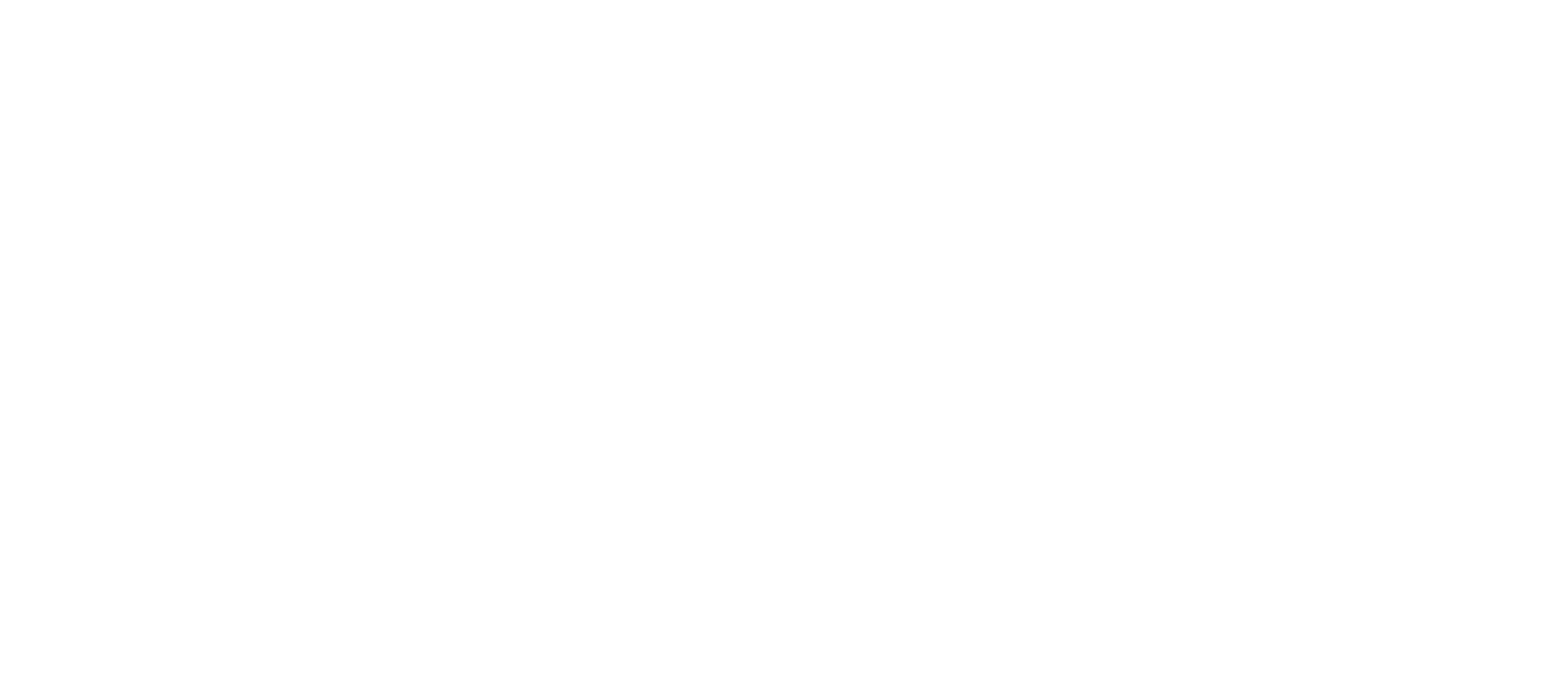 BIDO Logo